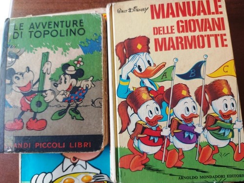 Blocco disney - blocco,