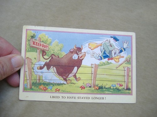 Cartolina post card walt - cartolina,