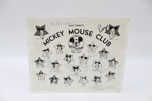 Walt disney topolino - disney's,