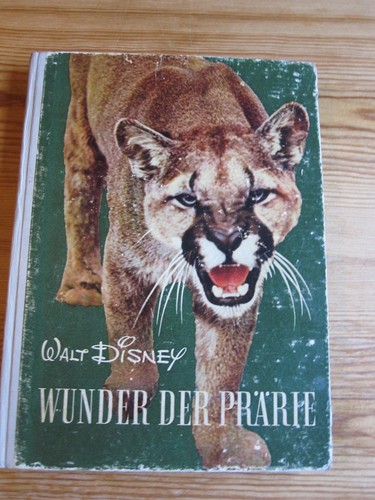Walt disney wunder - walt, disney,