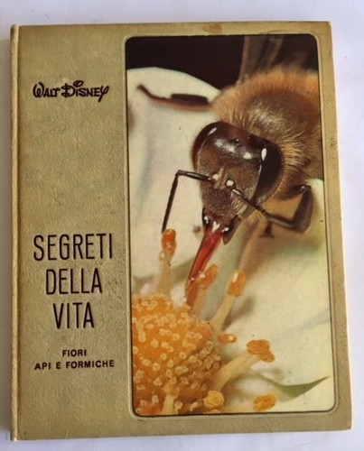 Segreti della vita walt - vita,